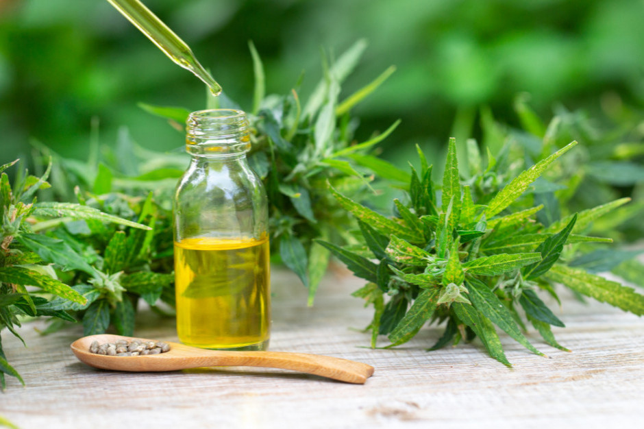 Susz z konopi włóknistych kosztuje od 10 do 50 zł za 1 gram; fot. shutterstock Kiedy żniwa konopi włóknistych?