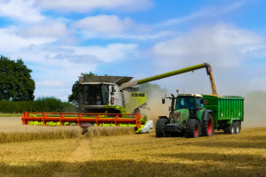 KOWR: Tegoroczne plony zbóż mogą być wyższe niż w 2021 r.
