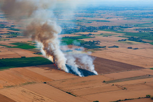 Pożary podczas zbiorów upraw. Najwięcej w lipcu