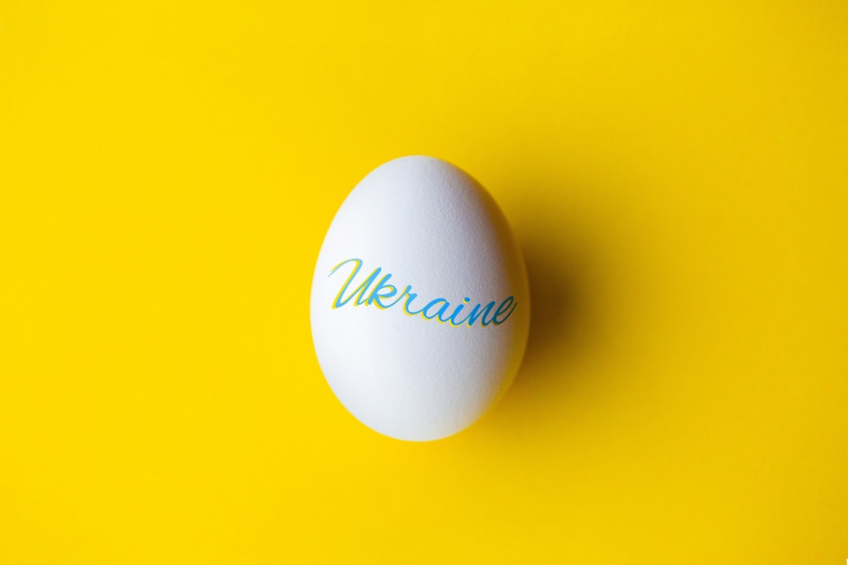Ukraiński eksport jaj wciąż na minusie. Największy gracz zmniejsza produkcję