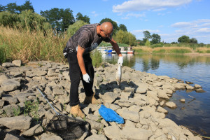 Śnięte ryby w kolejnej polskiej rzece. "W tym miejscu to niepokojące"