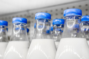 Produkcja mleka jednym z tematów nadchodzących Narodowych Wyzwań w Rolnictwie