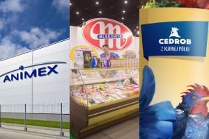 Animex, Mlekovita, Cedrob. Ile podatku CIT płacą największe firmy spożywcze w Polsce?