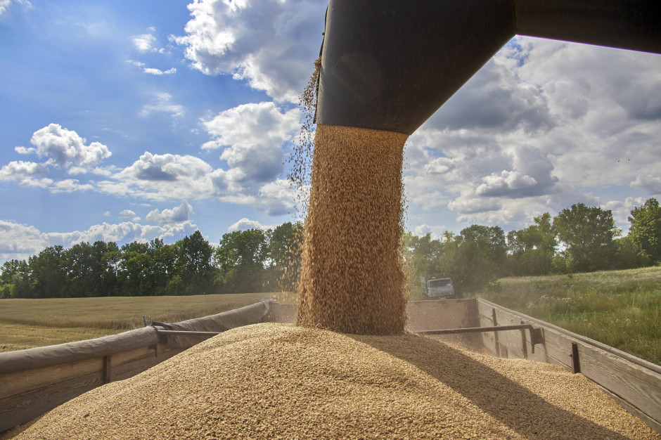 Ceny zbóż: Rolnicy trzymają ziarno w magazynach, oczekując wyższych cen