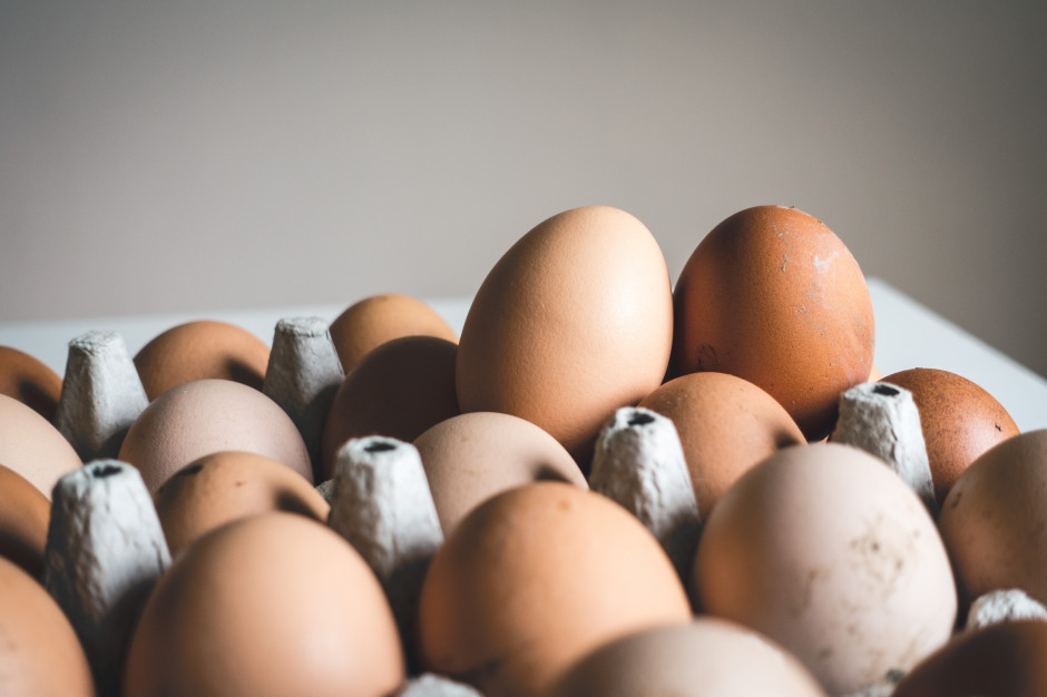 Filtr z białka jaj wychwytuje mikroplastik