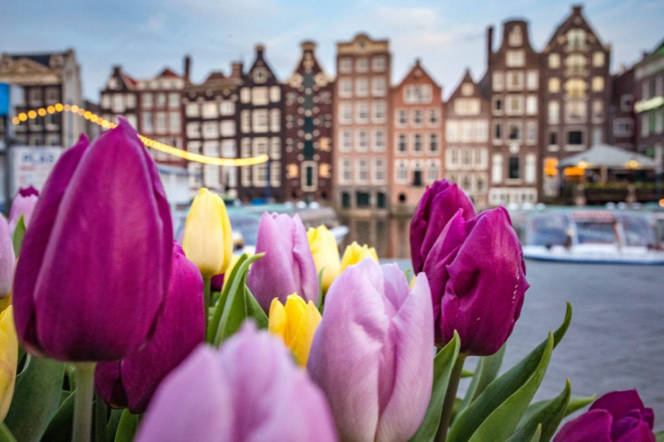 Władze Amsterdamu zniechęcają do przyjazdu turystów szukających alkoholu i narkotyków