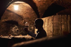 Czesi inwestują w sektor winiarski w Polsce. Czy nowy gracz podbije rynek?