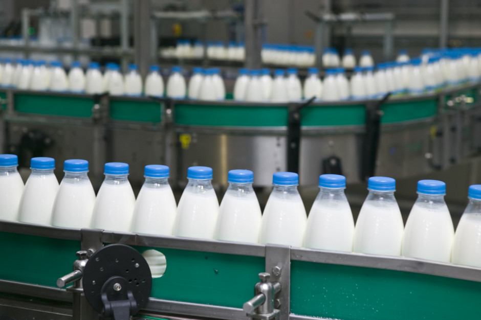 Polskie mleczarnie zarabiają miliardy. Kto najwięcej?