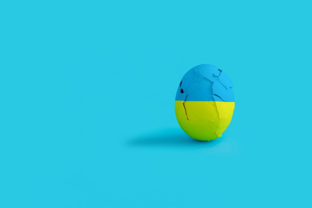 Ukraiński sektor jajeczny w kryzysie. Produkcja spada, ceny rosną