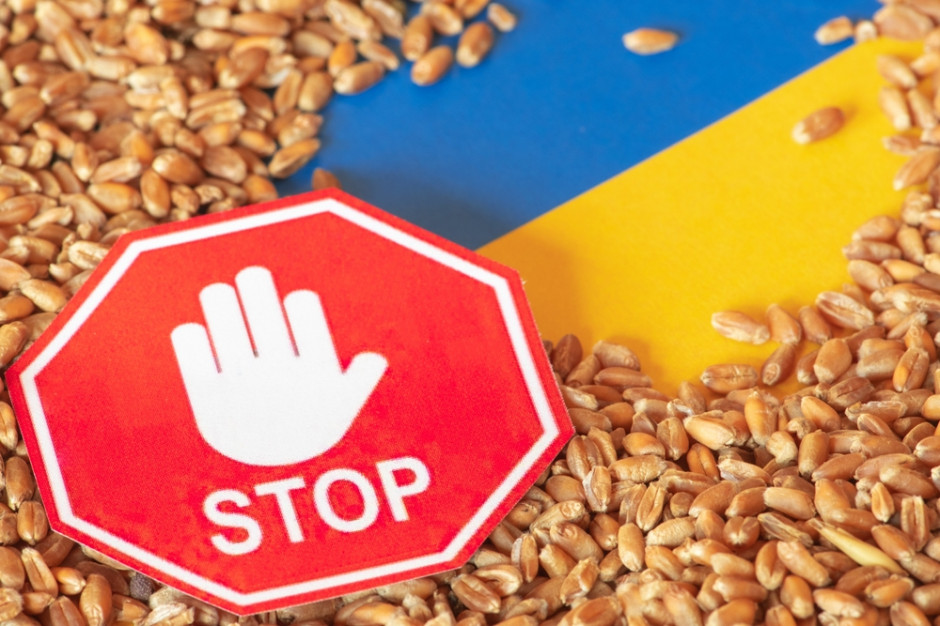 Polska zakaże importu zbóż z Ukrainy? MRiRW odpowiada na apel