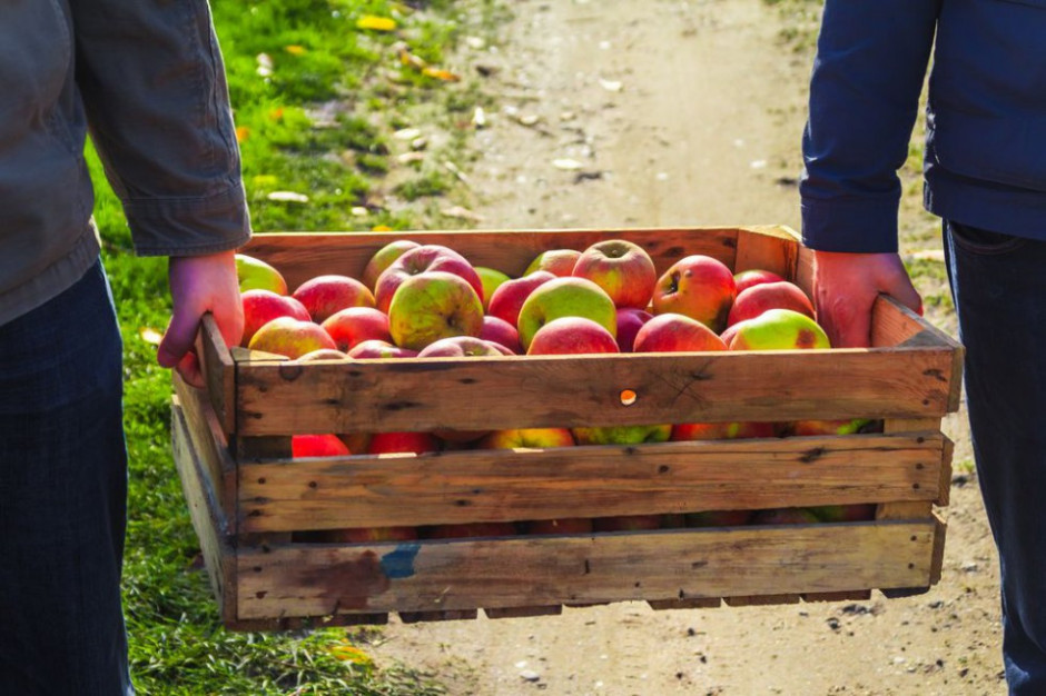 Organizacja rynków owoców i warzyw. Projekt do trzeciego czytania