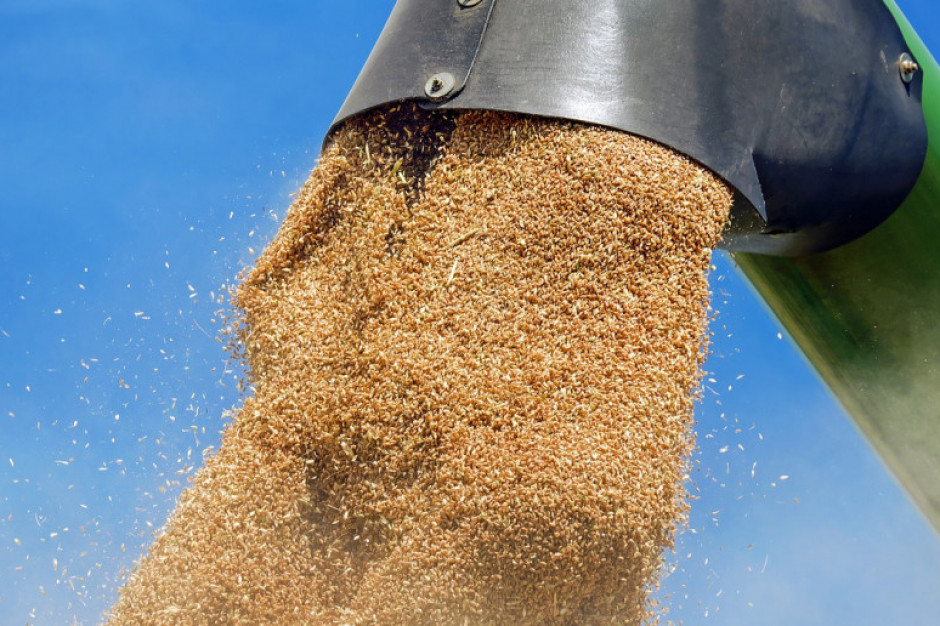 Rumunia pomogła wyeksportować w ub.r. 12 mln ton zbóż z Ukrainy