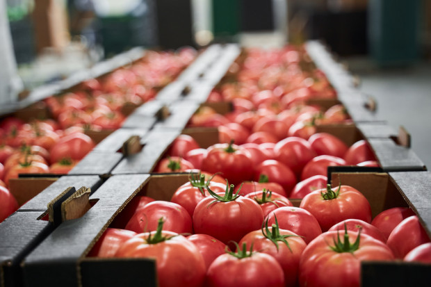 Rynek żywności w lutym: rok wojny, fala przejęć, pomidorowe inwestycje
