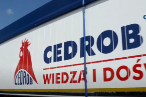 Które polskie firmy sprowadzają zboże z Ukrainy? KRIR pyta ministra o Cedrob