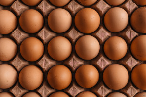 Ceny jaj w UE wzrosły o 30 proc. Jak się kształtują w Polsce?