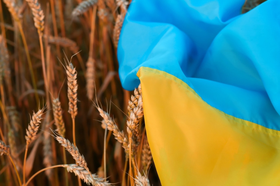 Nowy sposób na problem z ukraińskim zbożem. Może ochronić polskie firmy