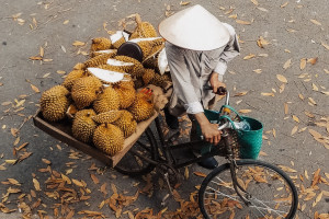 Zapłacimy więcej za kawę, ponieważ rolnicy w Wietnamie wolą uprawiać duriany