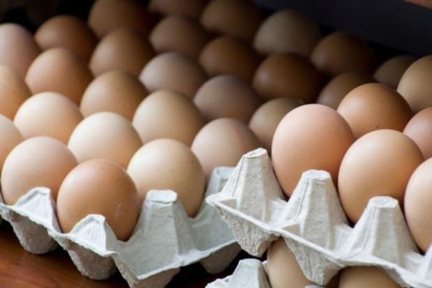 Projekt rozporządzenia ws. rekompensat dla producentów jaj i drobiu