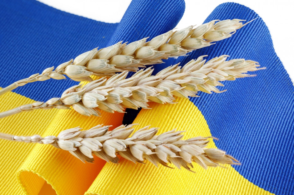 Co z zakazem importu zbóż z Ukrainy po 5 czerwca? Jest propozycja