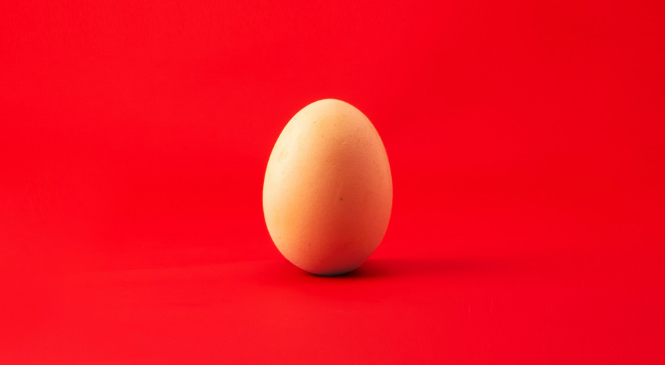 Le 13 octobre est la Journée mondiale de l’œuf