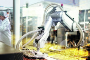 Uniwersalny model czy rozwiązanie „szyte na miarę”? Cyfrowe wybory branży spożywczej