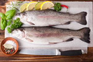 Ile pstrąga produkują polscy hodowcy, a ile tej ryby importujemy? [WYWIAD]