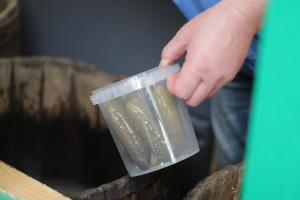 Złodziej przetworów zatrzymany przez policję. Najbardziej smakowały mu ogórki