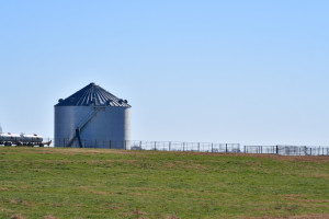 Łódzkie: W silosie ze zbożem zginął mężczyzna. Został zasypany