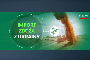 Te firmy importowały zboże z Ukrainy. MRiRW opublikowało listę