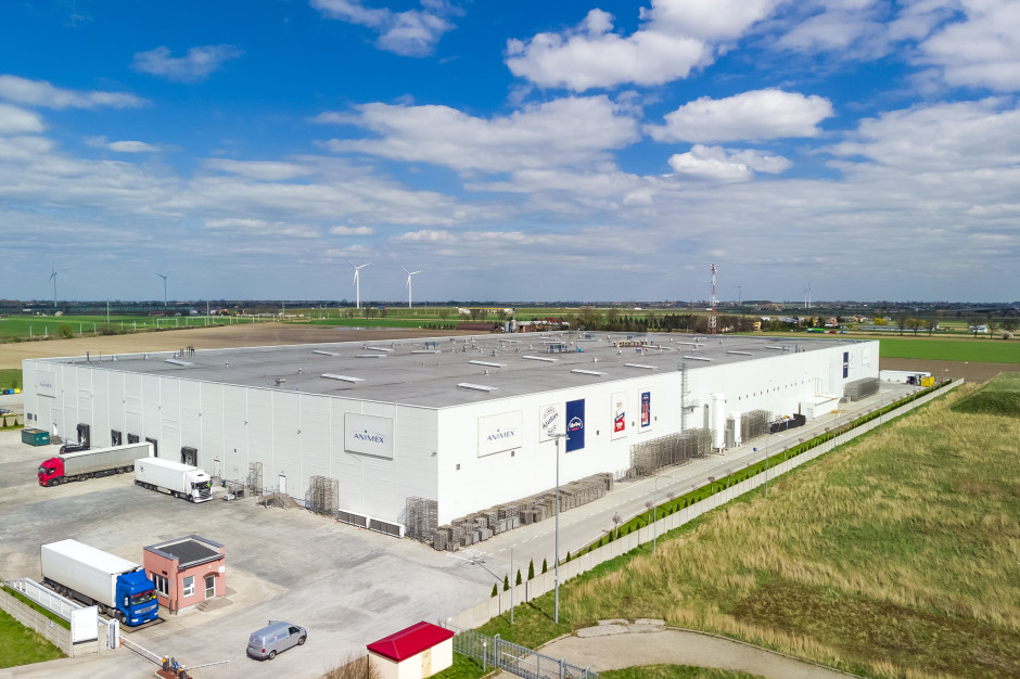 Rolnicy atakują Animex za import świń z Niemiec. fot. mat. pras. Rolnicy atakują Animex za import świń z Niemiec. "To jednorazowy zakup"