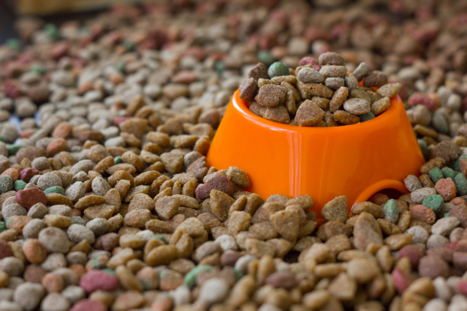 Mięsny gigant przejmie wielkopolską firmę z branży pet food? Wniosek w UOKiK