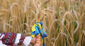 Nasienny gigant z USA zainwestuje na Ukrainie