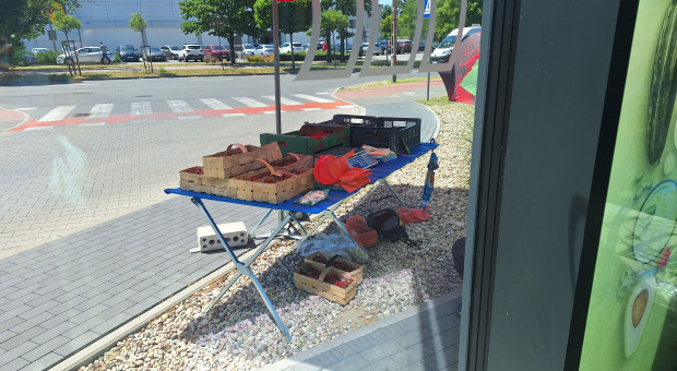 Stoiska z owocami pod Lidlem, Biedronką i Aldi. Co na to sieci? Jak handlować zgodnie z prawem?