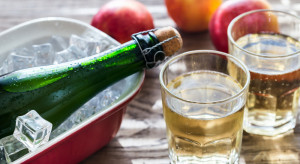 Nowelizacja pilnie potrzebna? Prawo hamuje rozwój tej alkoholowej kategorii (WYWIAD)