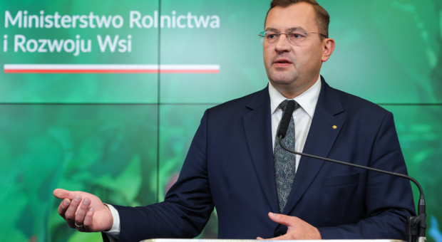 Bezpieczeństwo żywnościowe w czasach ryzyka. Polska stawia na silne rolnictwo i nowe regulacje