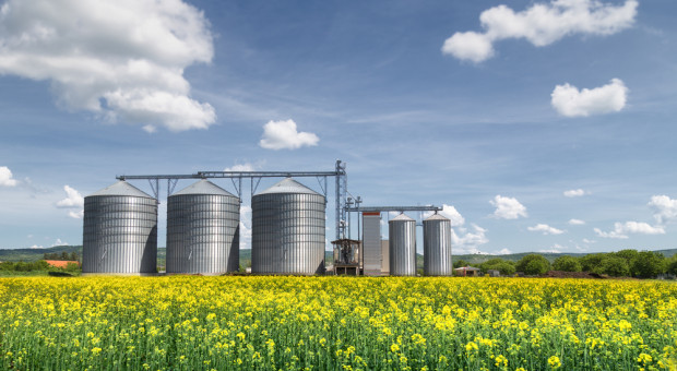 Finał megafuzji Bunge z Viterra. Louis Dreyfus Company przejmuje ZT w Bodaczowie