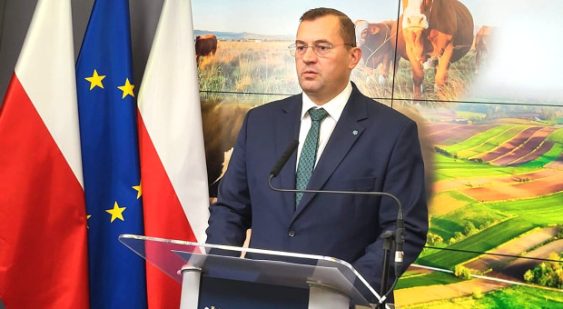 Zapadła decyzja w sprawie OPR-ów. Resort rolnictwa zapowiada odbudowę hodowli