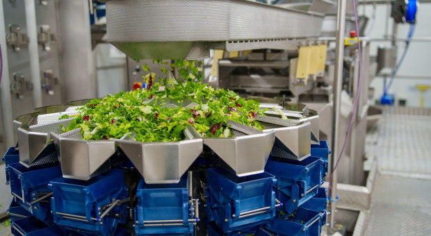 Green Factory przejmuje zakłady Eisberg. "Stajemy się jednym z liderów w CEE"