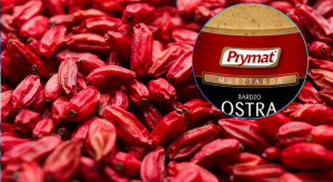 Prymat przejmie producenta sosów? Wniosek już w UOKiK