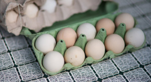 Polskie firmy zaczynają kupować jaja z zagranicy. "To efekt polityki UE"