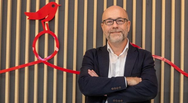 Auchan odsłania filary strategii. Inwestycje mają podnieść efektywność sieci