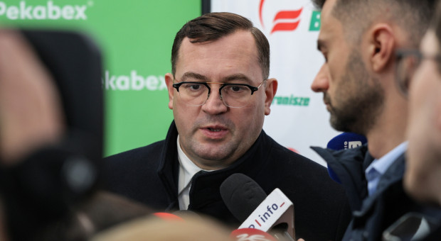 Zakażony dzik w sercu produkcji trzody chlewnej. Krajewski: "Nie wykluczamy sabotażu"