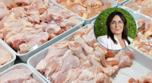 Co dzieje się z eksportem polskiego drobiu? "To ostrzeżenie dla branży"