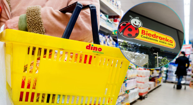 Rozwój Dino oczami menedżera Biedronki. "Momentami wygląda jak my 20 lat temu"