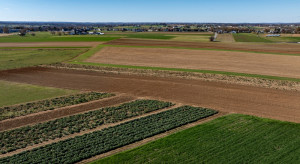 Parlament Europejski zatwierdza zmiany w polityce rolnej. Uproszczenie przepisów WPR