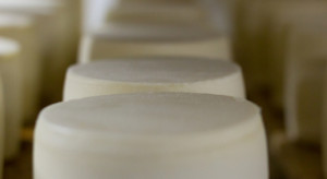 Nadwyżka mleka i straty producentów. Chiny zmieniają politykę importową