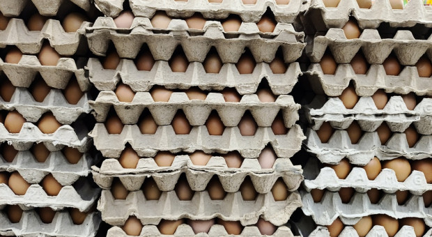 Skąd się biorą fake newsy o jajach? "To pewna ideologia"