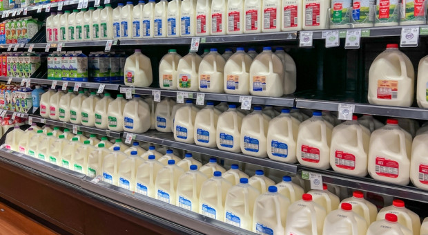 Zdrowie kontra przemysł? Czy "Eat Real Food" naprawi system żywienia?