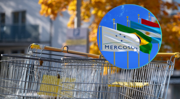 Czy handel w Polsce chce mięsa z krajów Mercosur? Zapytaliśmy sieci