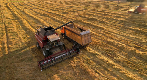 Blokada importu z zakazanymi pestycydami coraz bliżej. WIR: Łatwo będzie go obejść